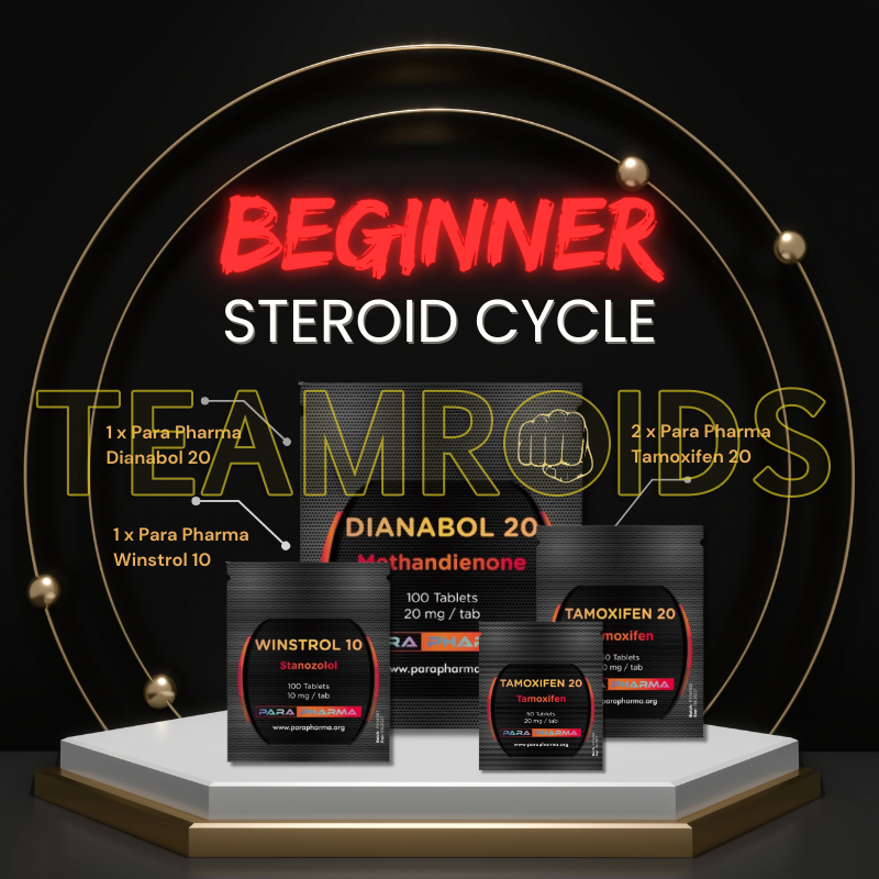beginner steroid cycle para pharma cycle para pharma 1 pack 1 stack.png