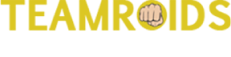 cropped teamroids logo.png
