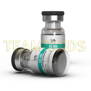 eq 300 dragon pharma 10 ml vial 300 mgml.png