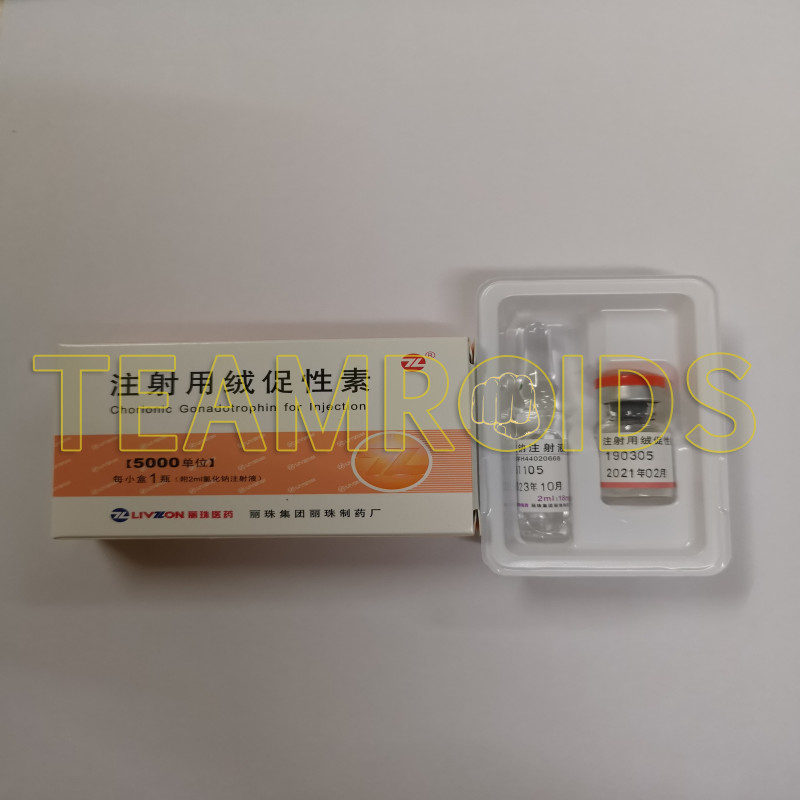 livzon hcg 5000iu 5000iu amp solution.png